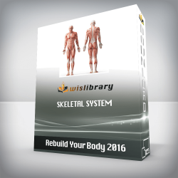Rebuild Your Body 2016 - Skeletal System