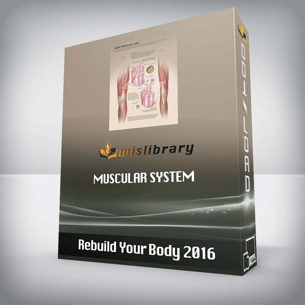 Rebuild Your Body 2016 – Muscular System