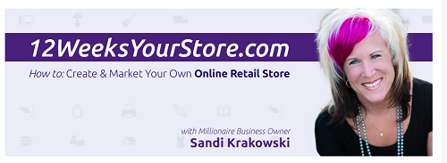 Sandi Krakowski – 12 Weeks Your Store Video Class