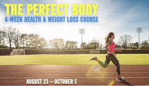 Kristopher Dillard – The Perfect Body Course