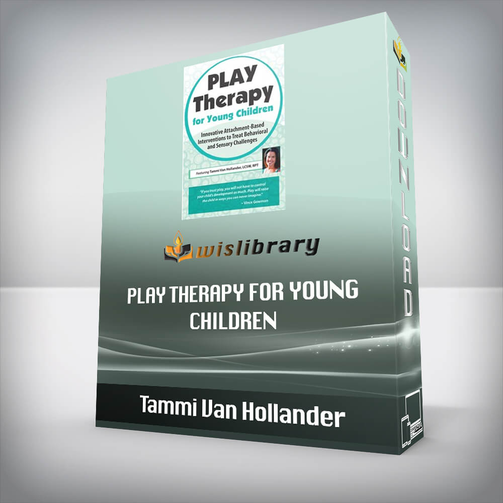 Tammi Van Hollander – Play Therapy for Young Children – Innovative Attachment-Based Interventions to Treat Behavioral and Sensory Challenges