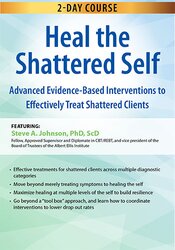 Steve A Johnson - 2-Day Course - Heal the Shattered Self - Advanced Evidence-Based Interventions to Effectively Treat Shattered Clients