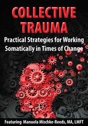 Manuela Mischke-Reeds - Collective Trauma - Practical Strategies for Working Somatically in Times of Change