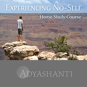 Adyashanti - Experiencing No-Self - Study Course