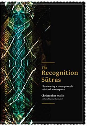 Christopher Wallis - The Recognition Sutras Illuminating