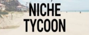 Fat Stacks - Niche Tycoon (Updated November 2016)