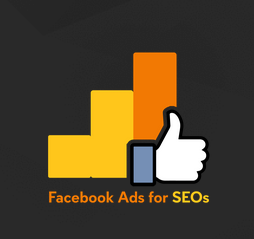 FB ADS FOR SEO