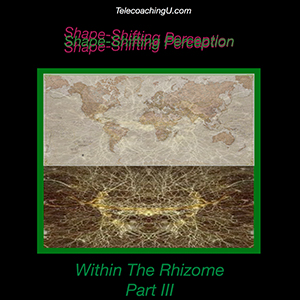 John Overdurf - Shapeshifting within the Rhizome