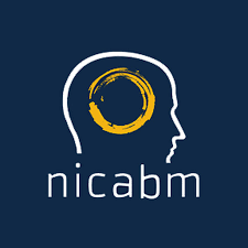NICABM - How to work with shame