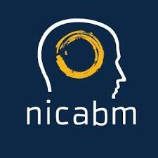 NICABM - The Experts Biggest Mistakes
