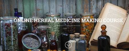 ONLINE HERBAL MEDICINE MAKING COURSE