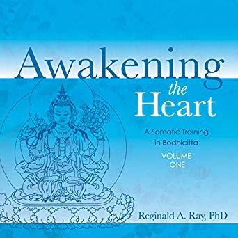 Reggie Ray - Awakening the Heart