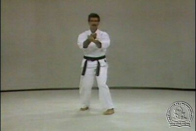 Rod Mindlin - Okinawan Uechi Ryu Karate Series