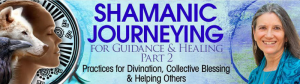 Sandra Ingerman - Shamanic Journeying For Guidance And Healing Part 2