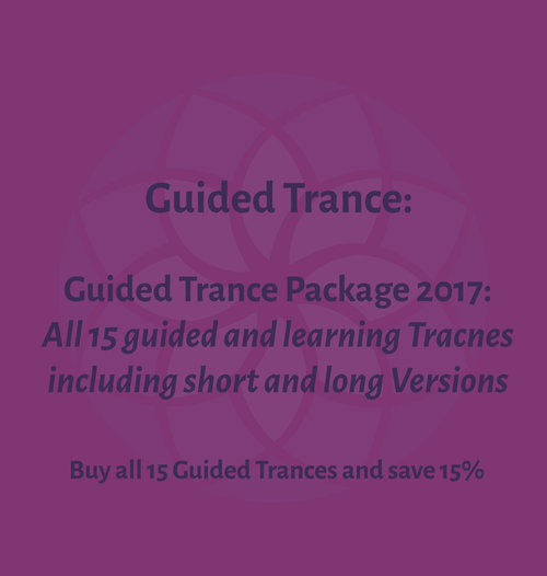 Stephen Gilligan 2017 Guided Trance Package 