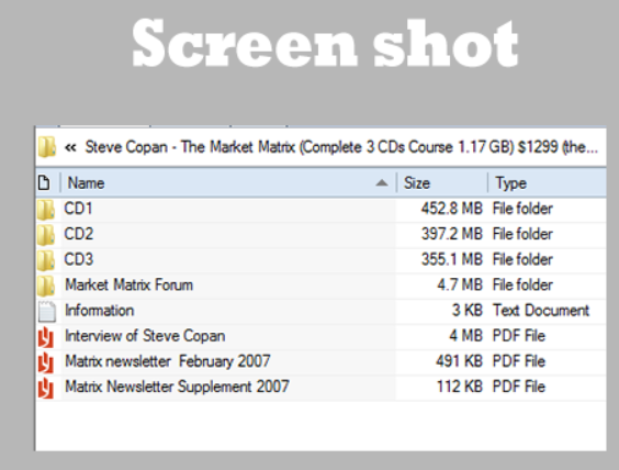 Steve Copan - The Market Matrix