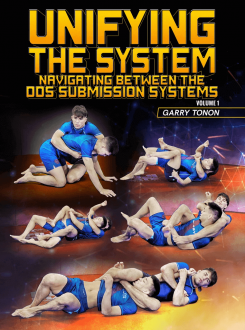 Garry Tonon - Unifying the System