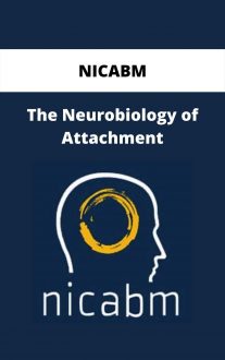 NICABM - The Neurobiology of Attachment