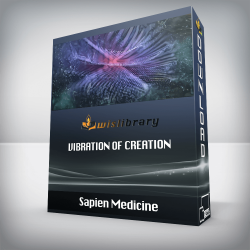Sapien Medicine - Vibration of Creation