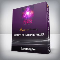 David Snyder - Secrets of Internal Power – Self Defense Supercharge & Self Defense Energetic Bootcamp 2021