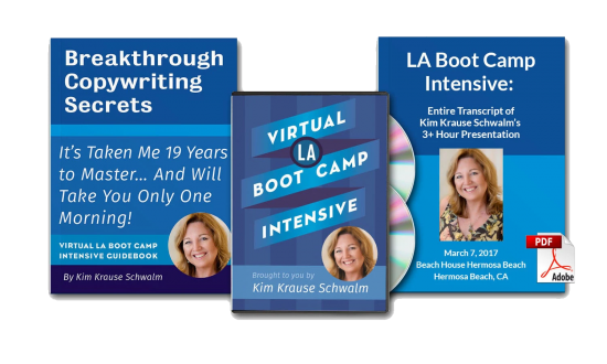 Kim Krause Schwalm - Virtual LA Boot Camp Intensive