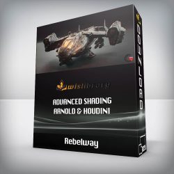 Rebelway - Advanced Shading Arnold & Houdini