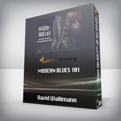 David Wallimann - MODERN BLUES 101