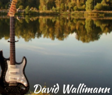 David Wallimann - BLUES JAMTRACKS