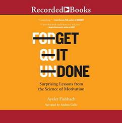 Ayelet Fishbach - Get It Done: Surprising Lessons from the Science of Motivation