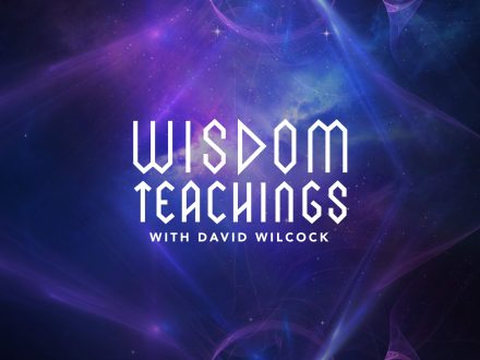 David Wilcock - Wisdom Teachings season 1-22