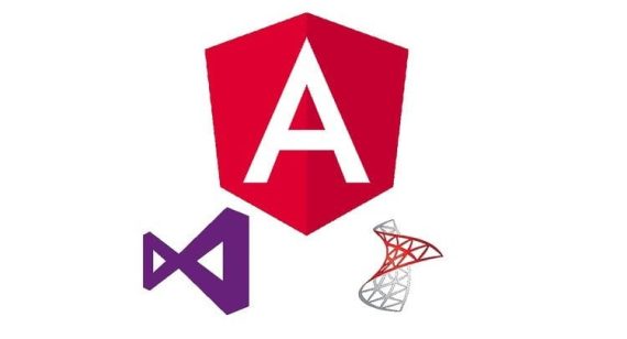 Learn Angular 8 by creating a simple Full Stack Web App