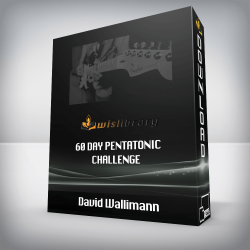 David Wallimann - 60 DAY PENTATONIC CHALLENGE
