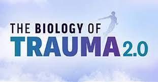 Dr. Aimie Apigian - The Biology of Trauma 2.0