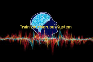 Kaushik Ram - Train Your Nervous System