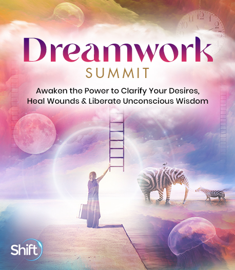 Shift Network - Dreamwork Summit 2022