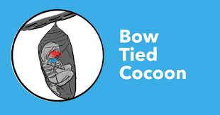 BowtiedCocoon - Zero to $100k: Landing Any Tech Sales Role