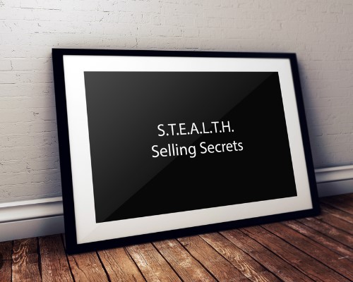 David Snyder & James Seetoo - STEALTH Selling Secrets