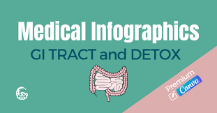 Dr. Lara Salyer - GI TRACT and DETOX Medical Infographics - Premium