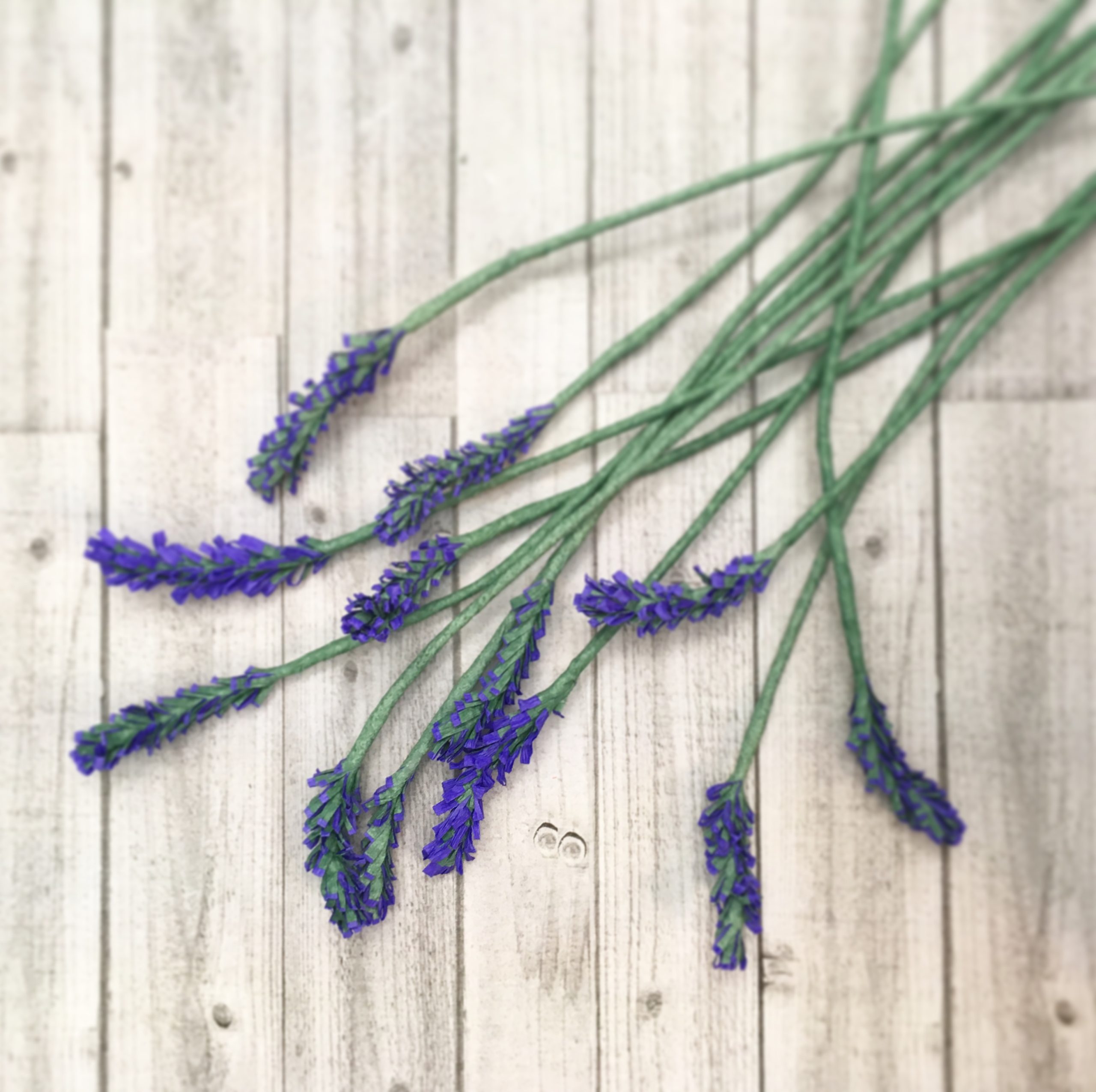 Janita Court - Paper English Lavender Buds