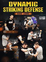 Duane Ludwig - Dynamic Striking Defense