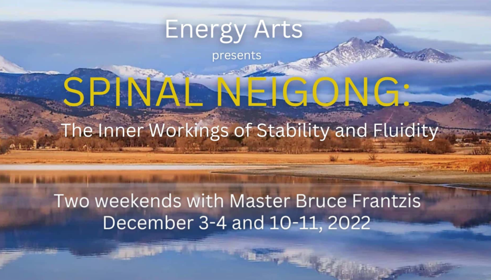 Bruce Frantzis - Energy Arts - Spinal Neigong - The Inner Workings of Stability and Fluidity 2022