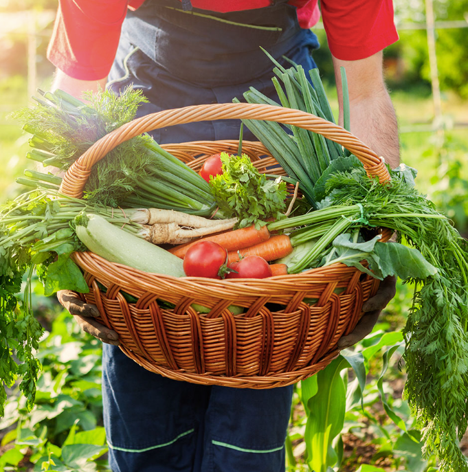 Centre of Excellence - Homesteading Diploma Course