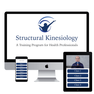 John Maguire - Structural Kinesiology Course Online