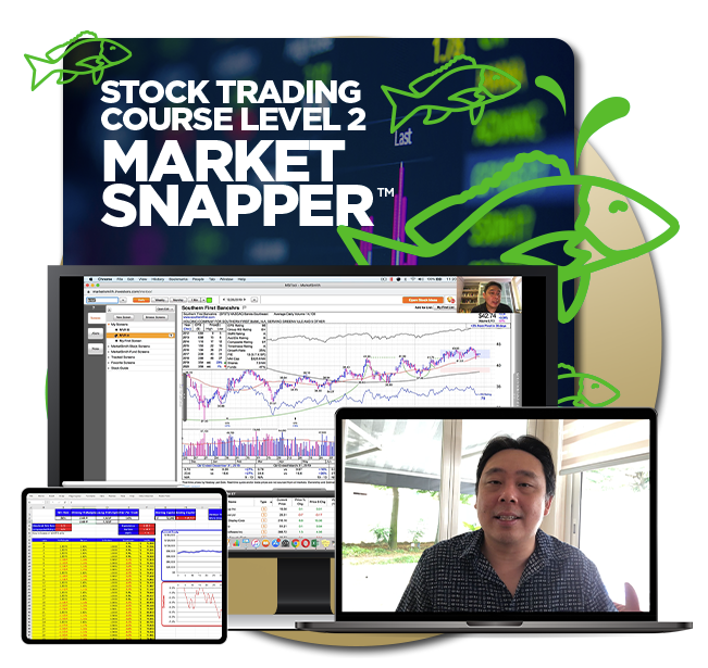 Piranha Profits - Stock Trading Course Level 2 - Market Snapper™ 2019