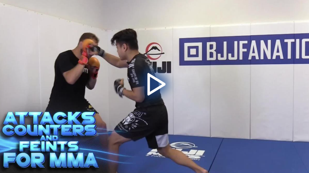 Randy Steinke - Attacks, Counters and Feints for MMA