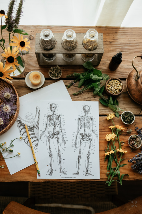 THE HERBAL ACADEMY - Advanced Herbal Course