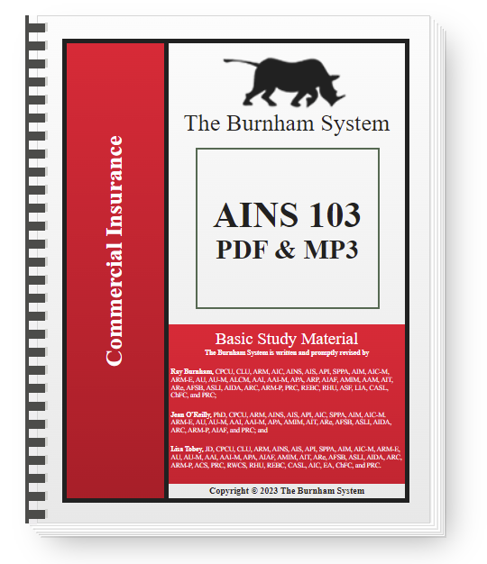 The Burnham System - AINS 103 - Digital & Audio Book