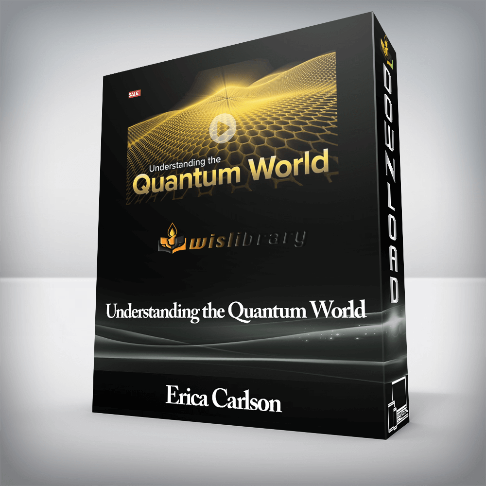 Erica Carlson - Understanding the Quantum World