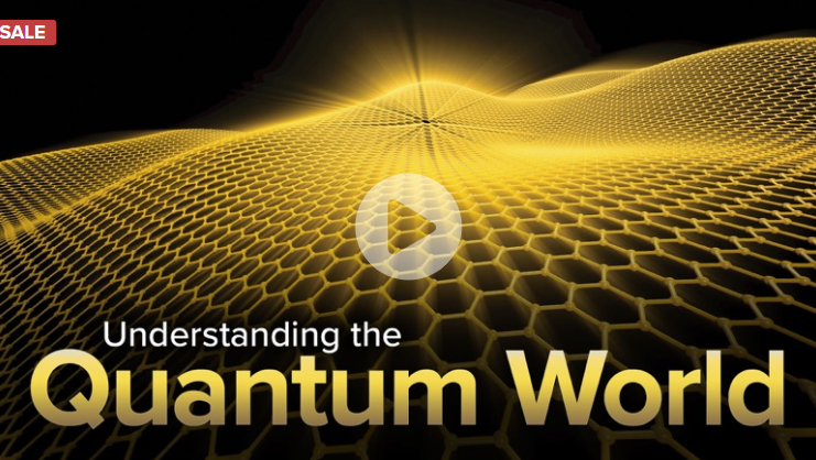 Erica Carlson - Understanding the Quantum World