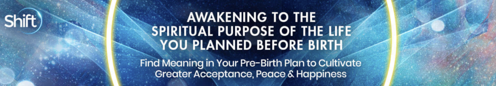 Rob Schwartz - Awakening to the Spiritual Purpose of the Life You Planned Before Birth